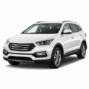 تصویر سانتافه IX45 نیو مگامنو